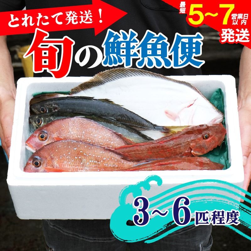 鮮魚便 海鮮 魚貝類 魚介類 鮮魚 旬 獲れたて 3〜6匹 セット 詰め合わせ さかな おさかな 魚 海の幸 福袋 FISH ごはん 夕飯 おかず おつまみ 晩酌 米 丼 三陸産 岩手県 大船渡市 [56500295_1]