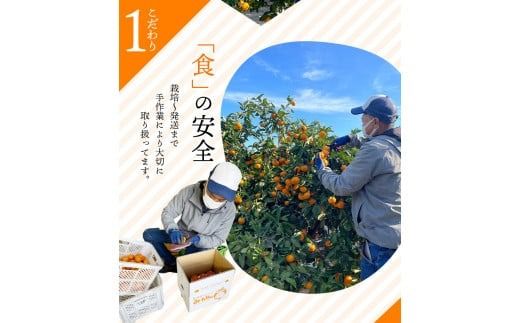みかん 訳あり品 ご家庭用 たにぐち農園の早生温州みかん(マルチ栽培) 5kg【2025年11月中旬～12月中旬に順次発送】 / わけあり 訳あり ご家庭用 家庭用 不揃い 早生 温州 みかん 蜜柑【mtn007B】