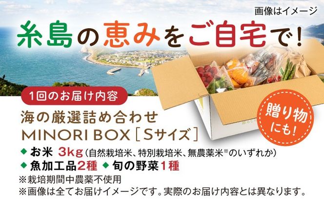 【全3回定期便】糸島産 魚 米 野菜 果物 厳選詰め合わせ MINORI BOX Sサイズ 糸島市 / emma.Inc / 米 魚 野菜 詰め合わせ[AOP020]