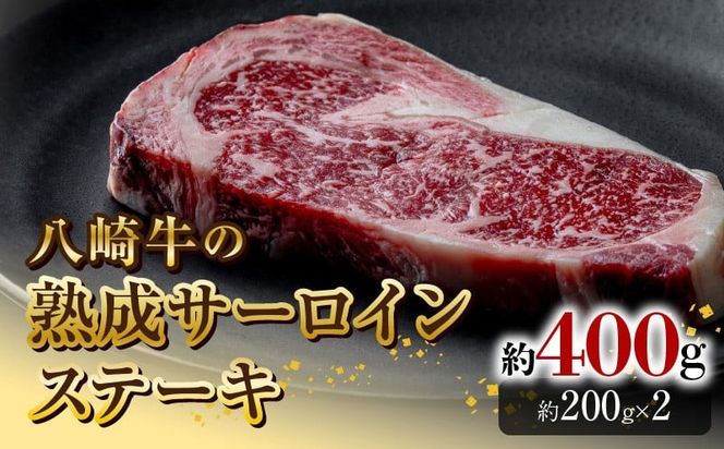 y{茧sz苍̏nT[CXe[L200g×2 N0105-YB822
