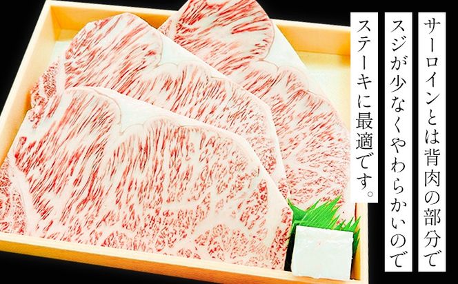 奈義和牛 サーロイン バイヤーおすすめ！ 180g × 3枚 株式会社 天満屋《30日以内に出荷予定(土日祝除く》岡山県 笠岡市 和牛 牛肉 肉 ステーキ 自宅用 贈答用 送料無料---T-31---