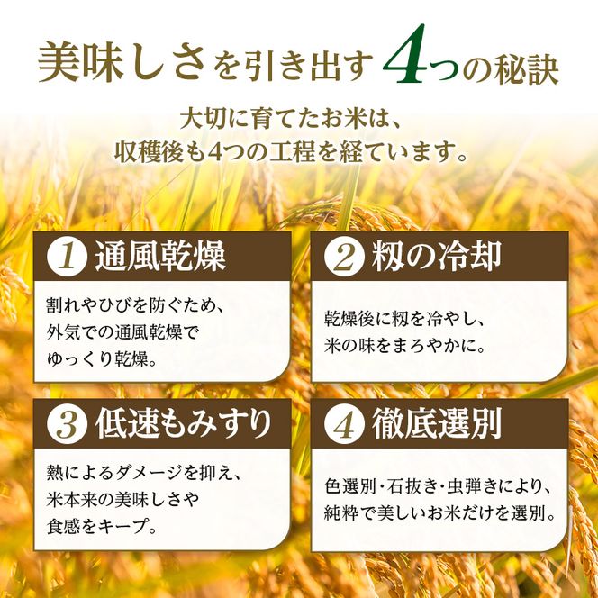 令和7年産 まっしぐら 玄米 30kg [H.GREENWORK] 青森県 鯵ヶ沢産 / お
