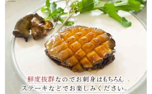 【期間限定発送】 海鮮 訳あり 三陸産 活アワビ 800g (7～8個) [マルヤ五洋水産 宮城県 南三陸町 30al0006] 魚介類 あわび 鮑 天然 蝦夷あわび 貝 冷蔵 刺身 刺し身 活き ステーキ