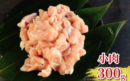 地鶏 愛媛 媛っこ地鶏 1羽セット 約2.5kg 鶏肉 鳥肉 肉 チキン むね肉 もも肉 ささみ レバー せせり ハツ 砂肝 焼肉 焼き鳥  BBQ 冷凍 国産 高級 タンパク質 低脂肪 糖質 唐揚げ チキン南蛮 サラダチキン スープ 出汁 モツ煮 ダイエット 愛南町 送料無料 ローカルスタンダード