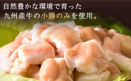 国産 ・ 完全 無添加 もつ鍋 セット ( 約 2人前 ) しょうゆ味 糸島市 / 博多 浜や[AFF003]