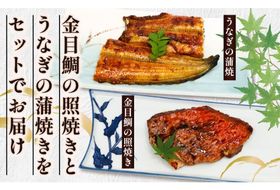 金目鯛照焼きと厳選うなぎの蒲焼きセット 土用の丑の日 きんめだい キンメダイ 鰻 ウナギ うな重 うな丼 キンメ丼 簡単調理 高知県 室戸市 惣菜 おかず
