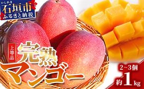 【先行予約】石垣島産 完熟マンゴー 約1kg エコ箱入り（2～3個入り）2025年6月末～7月下旬発送 SI-31-1