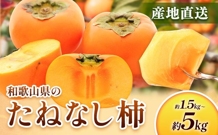 [10月より発送]たねなし柿 選べる 1.5kg 2.5kg 5kg 刀根早生 平核無柿 ひらたねなしかき 池田鹿蔵農園[10月上旬-12月上旬頃出荷] 和歌山県 日高町 柿 カキ かき たねなし ジューシー フルーツ 種無柿 種無し柿 種なし柿 無核柿---wsh_idn177_10j12j_25_7000_15---
