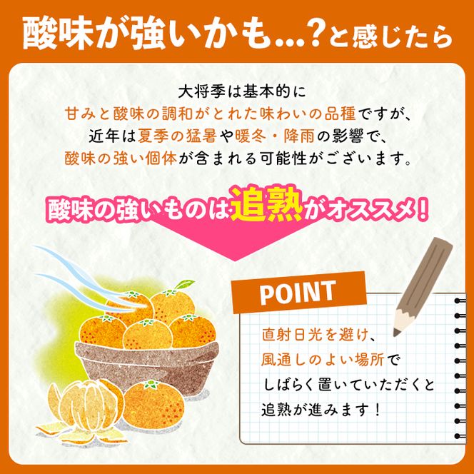 ＜先行予約受付中！2027年3月上旬以降順次発送予定＞ 鹿児島生まれの品種！露地栽培の大将季 (約5kg・15～24玉) 果物 冬 春 柑橘 みかん 蜜柑 フルーツ 期間限定 数量限定 大将季 露地 【鹿児島いずみ農業協同組合】akn018-19