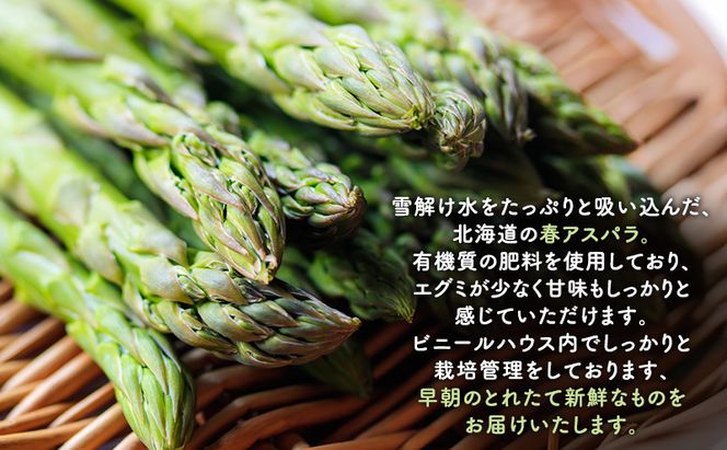 朝採り グリーンアスパラ L～2Lサイズ混合 2kg［松鶴ファーム］アスパラ アスパラガス ハウスアスパラ 野菜 やさい 新鮮 とれたて 甘い 北海道 南富良野