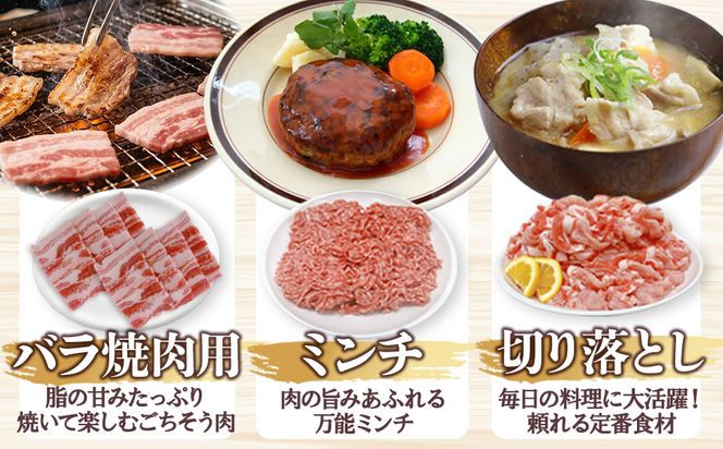 宮崎県産 豚肉 桜印ポーク5種セット (ローススライス / ロースまたは肩ロースカツ / バラ焼肉 / 切り落とし / ミンチ) 合計3kg 小分け 冷凍 国産 送料無料 九州産 肉 お肉 豚 詰め合わせ