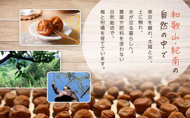 ひとみずの梅干し 500g 自然栽培で育てた紀州南高梅使用 ※栽培期間中、農薬・肥料・堆肥不使用 304018_EW03
