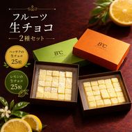 フルーツ生チョコ2種セット/生チョコ デザート 八朔  手作り 柑橘 果汁 【kmf013】