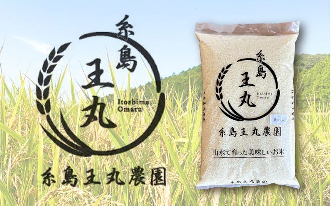 【令和7年産】糸島産 夢つくし 5kg 糸島市 / 糸島王丸農園 ( 谷口汰一 )【いとしまごころ】[AAZ001]