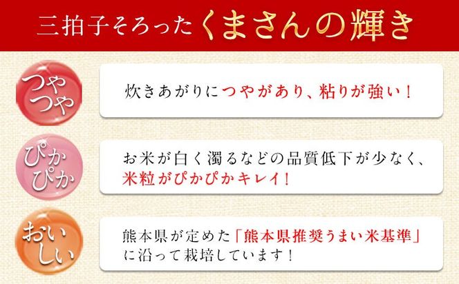 令和7年産 矢護川清流そだち(くまさんの輝き) 5kg 大津町矢護川おいしい米作り研究会 お米 熊本県 大津町《60日以内に出荷予定(土日祝除く)》---oz_kzk_2_5kg---