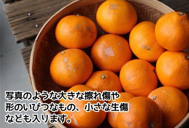 有田みかん ご家庭用 5kg S～2Lサイズ混合 FK01