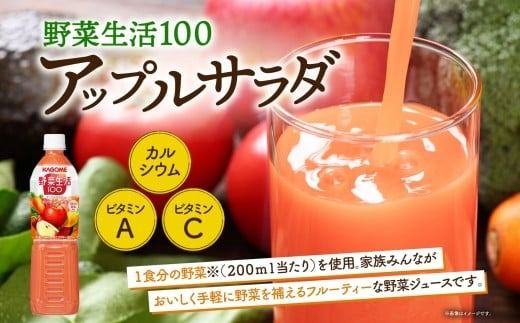 ns039-003　カゴメ 高β-カロテン にんじんジュース 野菜生活100 アップルサラダ 720ml PET 2種 各15本 計30本 野菜ジュース 野菜 果実 ジュース にんじん ミックスジュース フルーツジュース 果物 飲料 お取り寄せ ギフト ペットボトル KAGOME 送料無料 那須塩原市