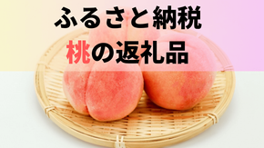 【最新版】ふるさと納税でもらえる「桃（もも）」の人気返礼品ランキング