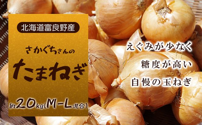【富良野産】2026年秋発送 さかぐちさんの たまねぎ 約20kg（M-Lサイズ混合）野菜 玉ねぎ
