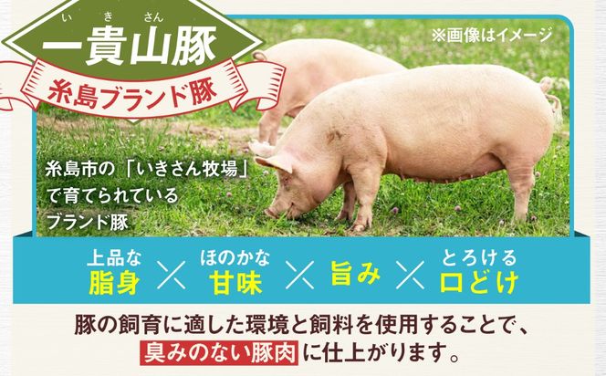 一貴山豚 切り落とし 計500g(250g×2p) 糸島市 / いきさん牧場 豚肉 冷凍[AGB056] 豚肉 豚 ブランド豚 一貴山豚 ポーク 切り落とし 肉 250g