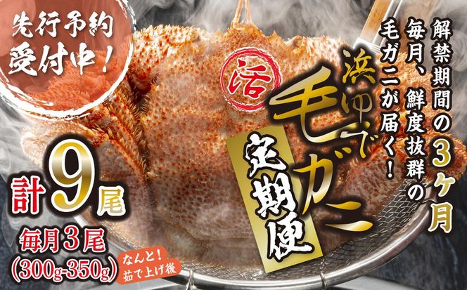 ＜ 2027年2月上旬より発送開始 ＞ 【 定期便 全 3回 】 北海道産 浜ゆで 毛ガニ 3尾 × 3回 （ 計 9尾 ） 毛蟹 毛がに かに味噌 カニ味噌 新鮮 旬 ボイル 浜茹で 海鮮 海産物  ＜ 予約受付 ＞
