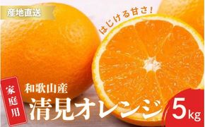 【先行予約】家庭用 訳あり きよみ 清美オレンジ 和歌山 有田 2S～3Lサイズ混合 5kg【2月上旬～3月下旬頃に順次発送】/ みかん フルーツ 果物 くだもの 蜜柑 柑橘【ktn040】