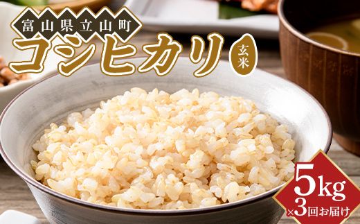 【3か月定期便】令和8年産 コシヒカリ 玄米 5kg ×3回 横山ファーム 米 富山県立山町産 こしひかり 富山県 立山町 F6T-1111