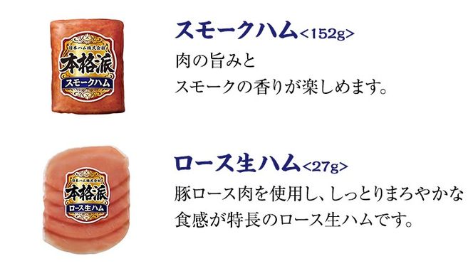 日本ハム 筑西工場 ギフトセットB 肉 にく 贈答 ギフト 詰め合わせ ハム ソーセージ ウィンナー 生ハム 焼豚 [AA081ci]