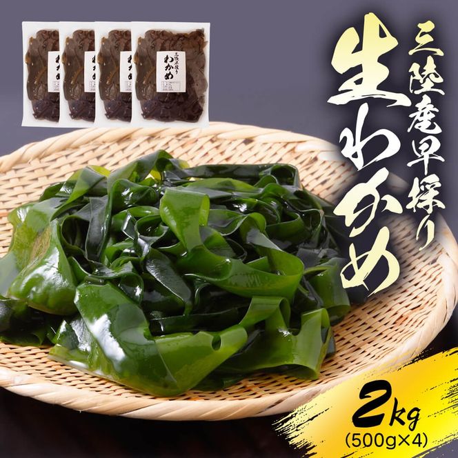 【先行予約】 産地直送 早採り生わかめ 新物 冷蔵 2kg (500g×4) 期間限定 ★2026年1月中旬～発送予定★ わかめ ワカメ 早採りわかめ 生わかめ 三陸 小分け 若芽 海藻 海産物 味噌汁 ごはん 夕飯 おかず 小分け しゃぶしゃぶ サラダ 岩手県 国産 大船渡