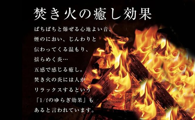針葉樹 薪 約13kg スギ ヒノキ 杉 檜 アウトドア キャンプ 焚火 焚き火