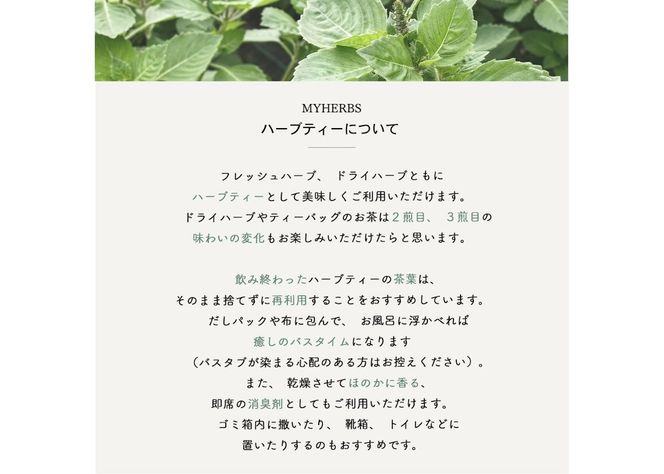 【メール便発送】ハーブティーお試しセット（ミント＆レモン/シトラス＆カモミール）ティーバッグ【選べる お試しセット】 ハーブティー 柑橘系ハーブ セット ノンカフェイン SDGs 山梨 富士吉田