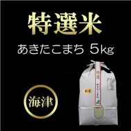 【個数限定】新米の８年産！岐阜県産特選米あきたこまち（5kg） お米