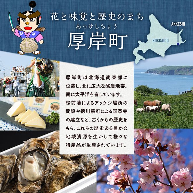 牡蠣 厚岸のブランド牡蠣 生食用 カキえもん Mサイズ 6個  [ 魚貝類 海鮮 海のミルク 国産 生食用殻付き牡蠣 まろやか クリーミー 食べやすい品種 海の香り 牡蠣の酒蒸し 焼き牡蠣  ]