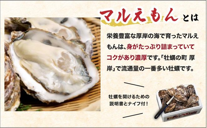 北海道 厚岸産 牡蠣 約4kg 訳あり × 北海道産 シラリカいくら 【醤油漬け】 500g (250g×2)  海鮮 セット いくら イクラ 牡蠣 生牡蠣 カキ 殻付き 海鮮 生食用 海鮮 海鮮丼 魚介 貝 厚岸町 白糠町