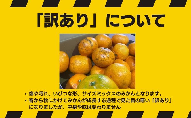 【訳あり】有田みかん 約3kg 家庭用  EY001
