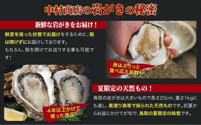 鳥取県産 岩がき「夏輝」【中村商店】 312011_AC016