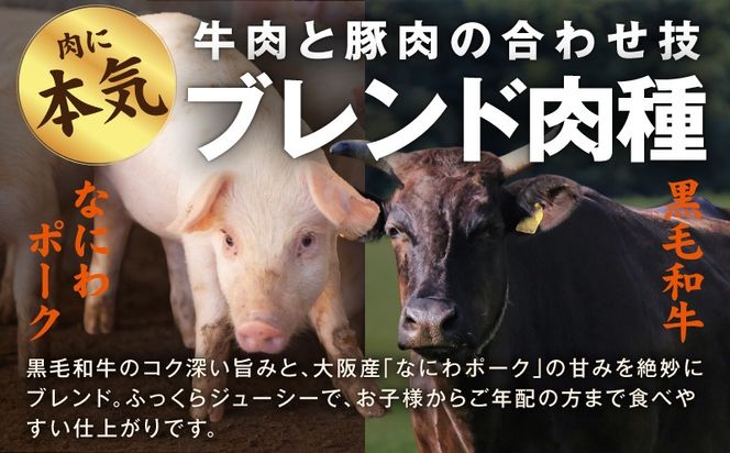 CFX0115 肉の泉佐野 ハンバーグ 30個（合計3.6kg）【黒毛和牛 なにわポーク入り 120g×30個 小分け 冷凍 ストック 人気 総菜 はんばーぐ 訳あり 簡単調理 おかず お弁当】