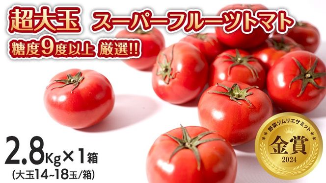 超大玉 スーパーフルーツトマト 大箱 約2.8kg × 1箱 【14～18玉/1箱】 糖度9度 以上 野菜 フルーツトマト フルーツ トマト とまと [AF007ci]