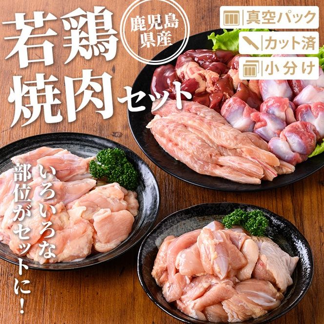 isa726 鹿児島県産 若鶏焼肉セット (合計4.2kg) 鹿児島県産 小分け 真空パック 鶏肉 鳥肉 もも肉 モモ肉 砂肝 肝 手羽中 肩肉 小肉 焼き肉 焼肉 セット 詰め合わせ 冷凍 【TRINITY】