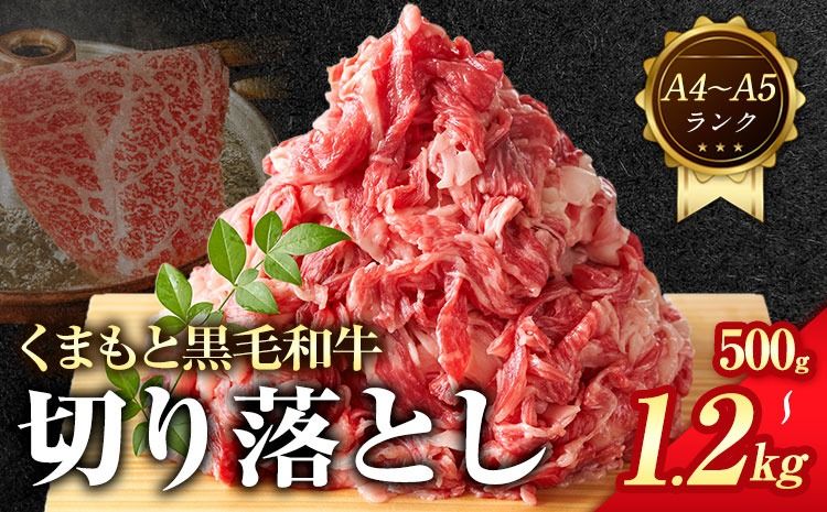 [A4〜A5]くまもと 黒毛和牛 切り落とし 500g 1kg 1.2kg [30日以内に出荷予定(土日祝除く)]熊本県 大津町 黒毛和牛 肉 お肉 和牛 牛 牛肉 A5 A4 小分け MEAT PLUS---so_fmpkkko_30d_25_9500_500g---