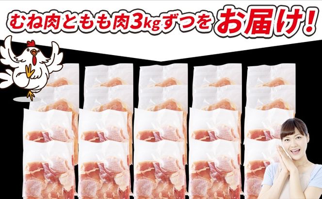 ＜宮崎県産若鶏切身 6kg（むね肉 300g×10袋 もも肉 300g×10袋）＞ 翌々月までに順次出荷 【 セット 詰め合わせ からあげ 唐揚げ カレー シチュー BBQ 煮物 チキン南蛮 小分け おかず おつまみ お弁当 惣菜 時短 炒め物 簡単料理 】【b0796_it_x2】