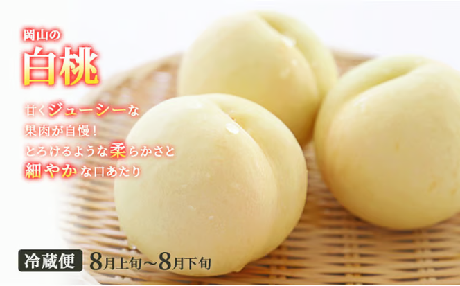 フルーツ 定期便 2026年 先行予約 晴れの国 おかやま 5回コース 桃 もも モモ 葡萄 ぶどう ブドウ 岡山県産 国産 果物 セット ギフト 梨 白桃 シャインマスカット ピオーネ