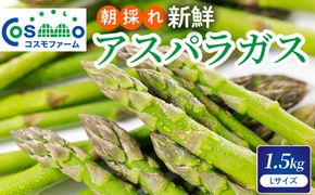 朝採り新鮮アスパラガス 1.5kg【Lサイズ】 | 野菜 アスパラガス グリーンアスパラ 旬 とれたて 春野菜 春 朝採り 朝採れ とれたて 新鮮 みずみずしい サラダ 甘い お取り寄せ 産地直送 冷蔵 岐阜県 瑞穂市