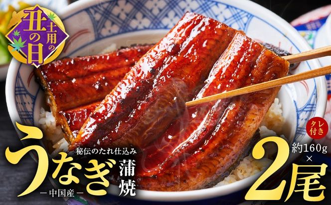 kgp0067-1d 【土用の丑の日までにお届け】うなぎ蒲焼 合計320g【約160g×2尾 特製タレ付 鰻 ウナギ 中国産 レンジ 温めるだけ 簡単調理 ふわふわ 炭火焼き 備長炭 手焼き】