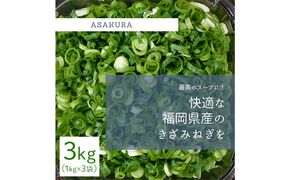 野菜 カット ねぎ 3kg（1kg×3袋）長ネギ 配送不可エリア有り 