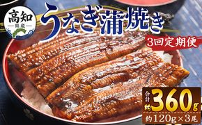 うなぎ 定期便 3回  100g～120g 3尾 3回 蒲焼き 高知県産 養殖 魚介 国産 海鮮 魚 かばやき 鰻 ウナギ 惣菜 おかず お手軽 加工品 加工食品 冷凍 Wfb-0042