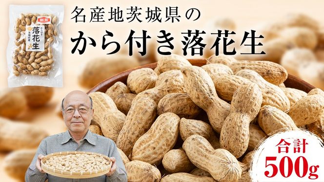から付き落花生 500g （250g×2袋） 煎りざや落花生 おつまみ おやつ ピーナッツ 殻付き ナカテユタカ