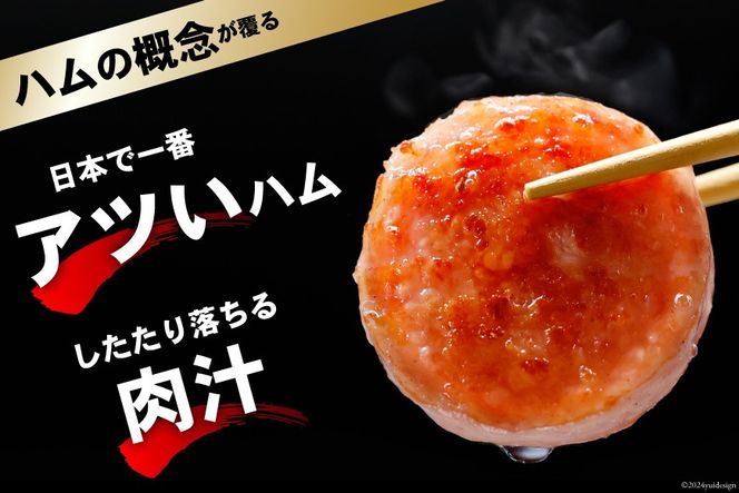 CI241 雲仙ハム ソーセージ ハム 各1本 計2本 各300g [ ボロニアソーセージ ポークハム ウインナー ウィンナー 小分け 便利 国産 豚肉 人気 おつまみ 肉 おかず 長崎県 島原市 ]