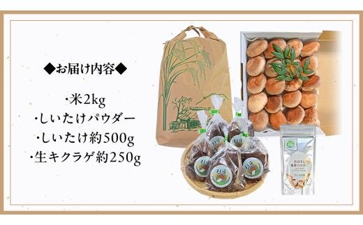 【 ファーム大畑 】お楽しみセット 米 お米 しいたけパウダー しいたけ 椎茸 まろ福しいたけ きくらげ [AK001ci]