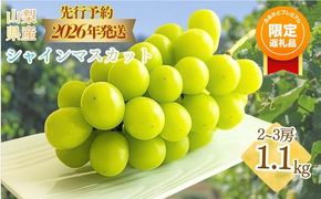 【ふるプレ限定品】【2026年 先行予約】山梨県産　シャインマスカット 約1.1kg (２房～3房)　FB014_premiamu
